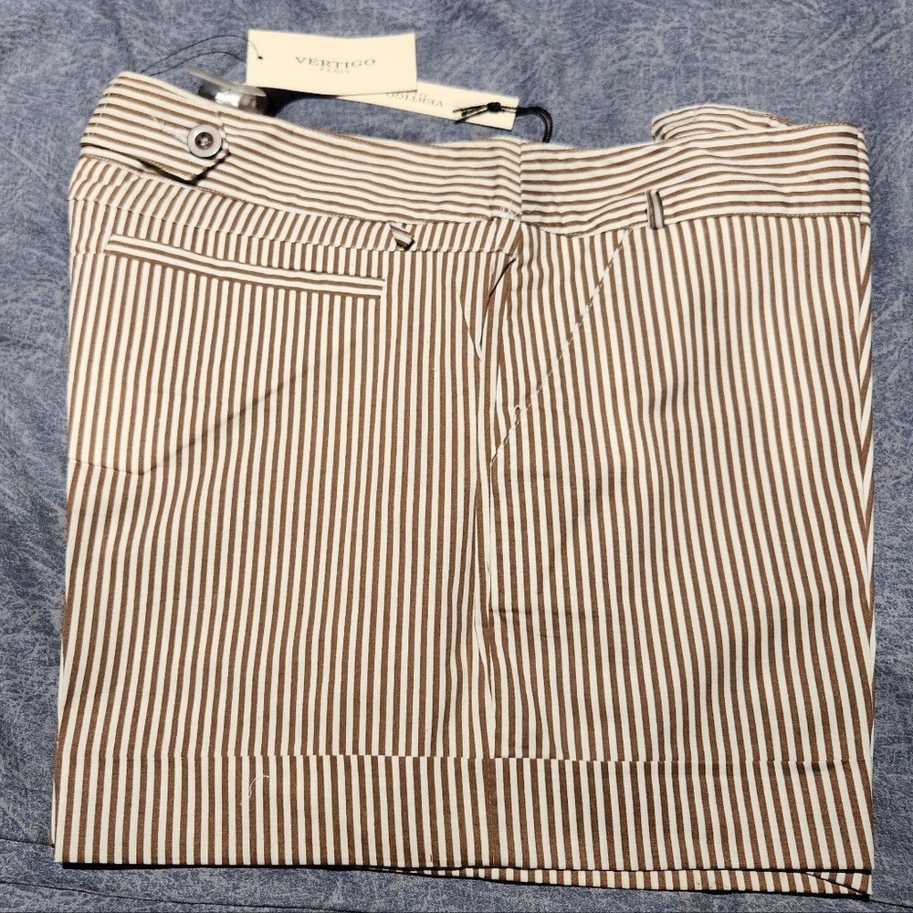 Vertigo Pinstripe Cargo Shorts